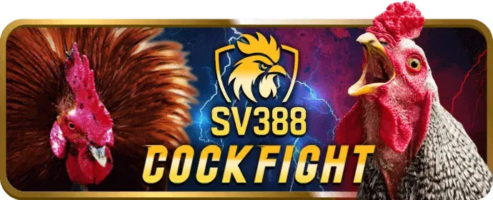 Giao dịch tài chính an toàn và khuyến mãi 56win
